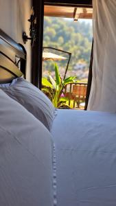 Timos Guest House