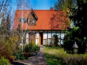 Comfortable holiday villa with terrace and garden