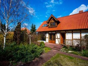 Comfortable holiday villa with terrace and garden