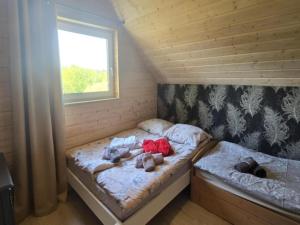 Large holiday home, salt cave, jacuzzi, sauna