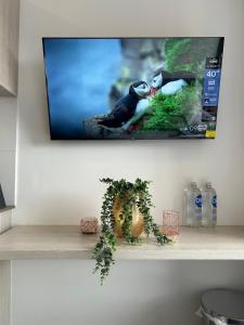 Arezzo 120, Centro Loft Usaquen, coworking