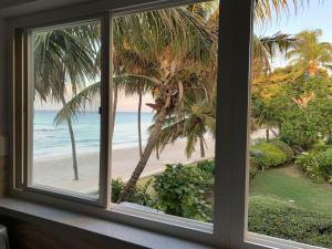 Turtles Nest Beach Apartments