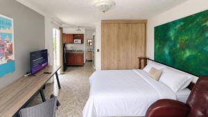 Acogedor Loft privado con Balcones, Belén Rosales APTO 201