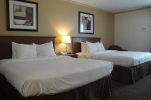 All Stay Suites
