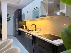 Apartment lux Penthouse
