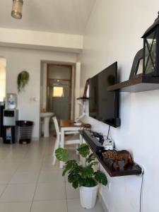 Aleamo apartment