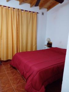 Puerto Ideal