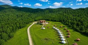 Mongolian Secret History camp