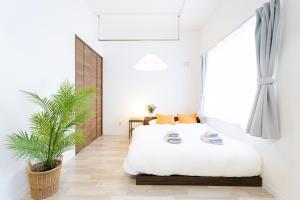 Canal & Co - OTARU