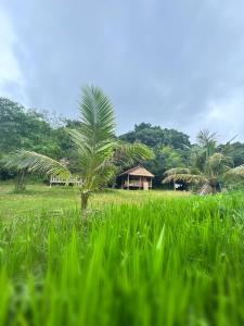 Kalao Resort