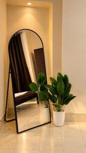 Anaya Homes