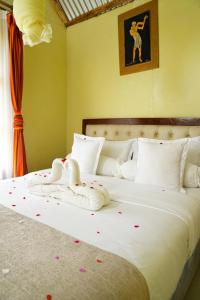 Freds Ranch and Resort