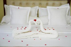 Freds Ranch and Resort