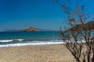 Amelia luxury beachfront apartment near airport