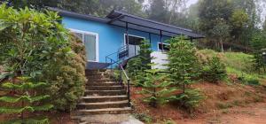 Family House - Monkhaokho - ม่อนเขาค้อโซน A