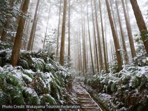 SEN RETREAT TAKIJIRI - Kumano Kodo Gateway