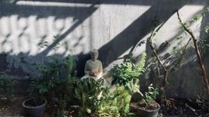 Anlong homestay kim long huế