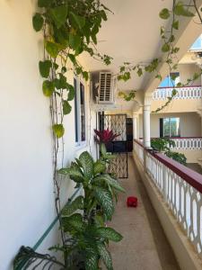 Diani apartments