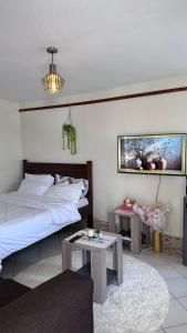 Salma Bnbs Studio House