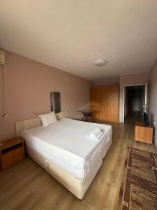 Hotel Pilevski