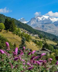 The chalet in the village between Champoluc and Antagnod