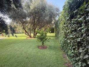 Villa KNGM Kamar Nour Garden Marrakech