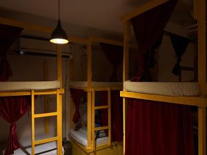 Cozy Inn Hostel