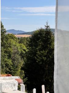 Luxury Apartment Green - cicha dzielnica przy parku