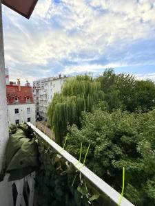 Colberg Apartament