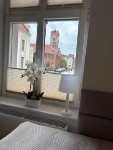 Apartamenty Różane Arkady