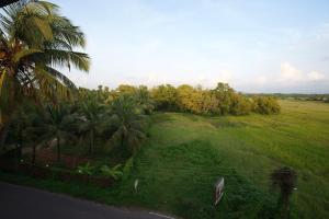 room in benaulim
