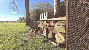 Country Getaway - Events Allowed - Near Pilar