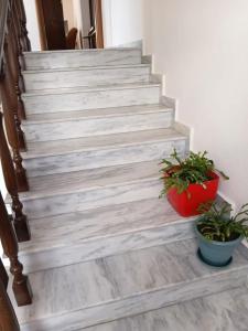 Diellori Holiday Apartment