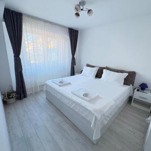 Transfăgărășan Gateway - Apartament modern - Curtea de Arges