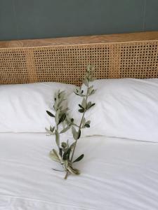 NIDO - Boutique apartment, private rooftop terrace