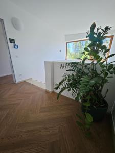 Natur - Urlaub Ferienzimmer Fremdenzimmer Zimmer Hunde herzlich willkommen