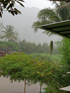 Baansuan Patooy Camping