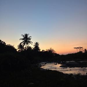 Baansuan Patooy Camping