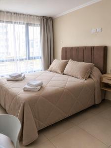 Domus Suite