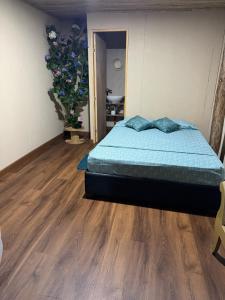 Hostal sirena baru