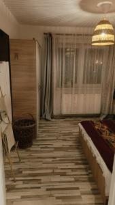 Alunilor 356