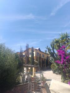 Cabana4