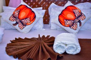 MUKIZA LODGE Mwanza