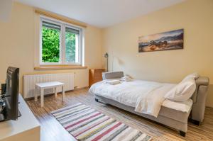 Spodek Cozy Studio by BookingHost