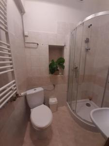 Apartament w okolicy Ronda Matecznego