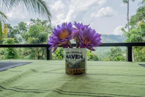 Green High Point Haven Ella