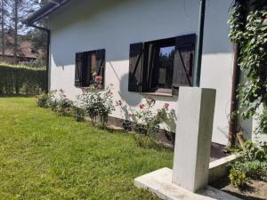 Comfortable holiday villa with a private garden