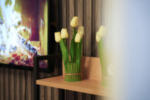 Aura Golden Hotels