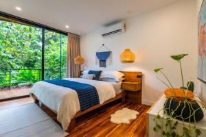 Riu Haus , Isla Tortuga & Bioluminescence,Blue Zone Home
