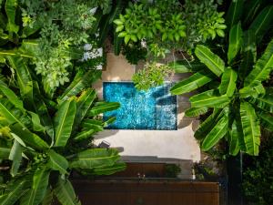 Riu Haus , Isla Tortuga & Bioluminescence,Blue Zone Home